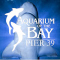 Save 20% Off Aquarium on the Bay, San Francisco. Save with Free Discount Travel Coupons from DestinationCoupons.com!