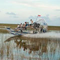 Private Airboat Adventure & Wildlife Show : SAVE 10%