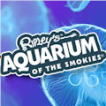 Ripley's Aquarium Gatlinburg Discount Coupons! Save with discount coupons from DestinationCoupons.com!