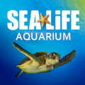 SEA LIFE Arizona Aquarium, Tempe Arizona : SAVE 30%... UP TO $5.99