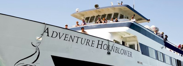 San Diego 1-Hour Harbor Cruise : SAVE 10% OR MORE!