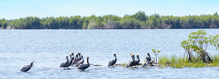 Kayak Rentals Crystal River Preserve State Park. Save 10%