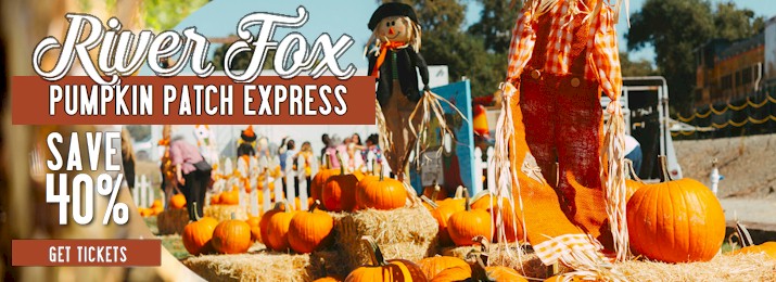 River Fox Pumpkin Patch Train. Save 40%