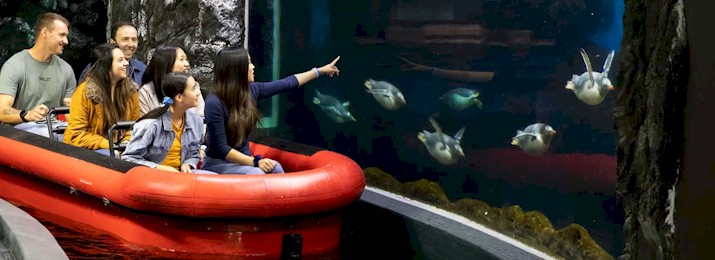 SEA LIFE Sydney Mobile-Friendly Coupon Codes