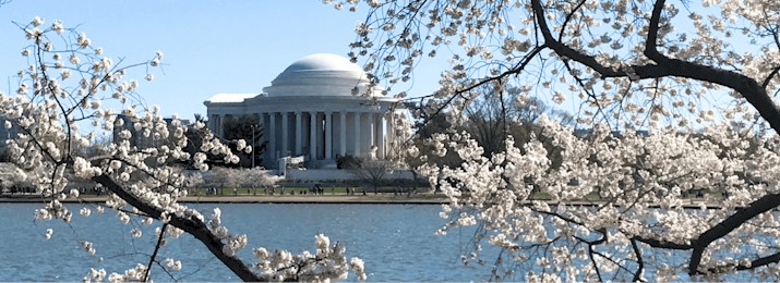 Save 20% Off Washington DC Cherry Blossom Bike Tours!