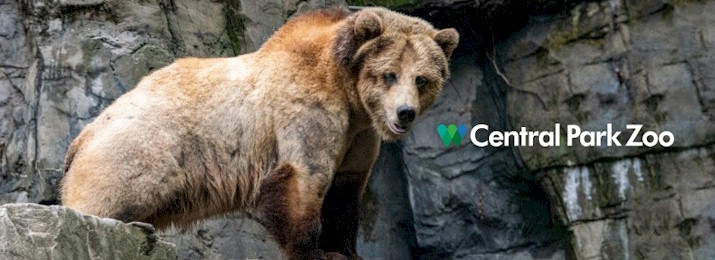 Central Park Zoo Discount Tickets. Save 10%