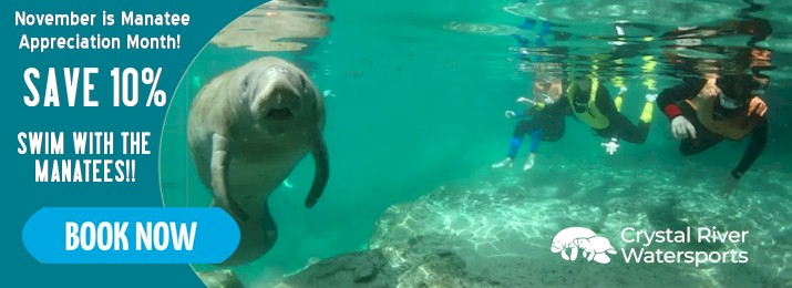 Swim with the Manatees. Save up to $75 with Coupon Code