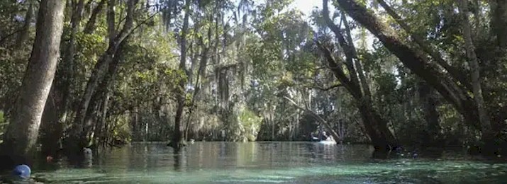 Crystal River Sightseeing Cruise. Save 10% with Coupon Code