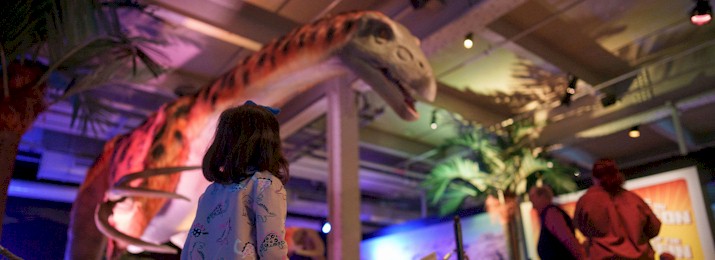 Dino Safari. Save $5 Off Tickets