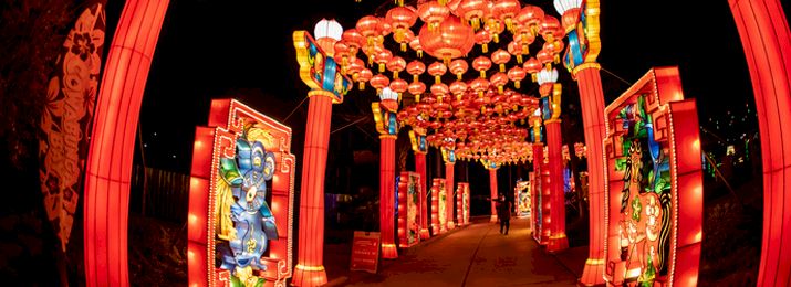 Festival Of Lanterns Las Vegas Coupons Save 6 95