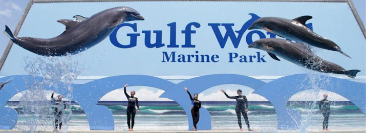 Click here for Gulf World Marine Park Coupon Codes