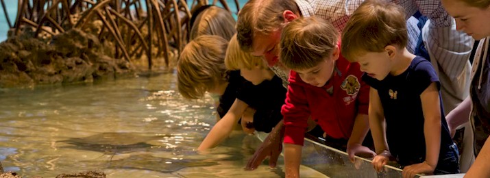 New England Aquarium. Save 10% or More