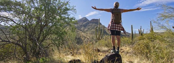 Scottsdale Desert Classic Guided Hike. Save 15% with Coupon Code.