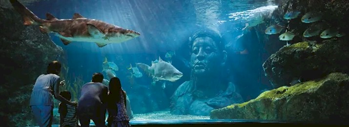 Save 45% Off Sea Life Bangkok with Coupon Codes