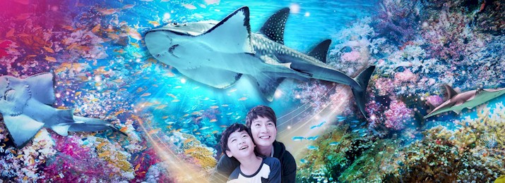 Save 20% Off Sea Life Busan with Coupon Codes