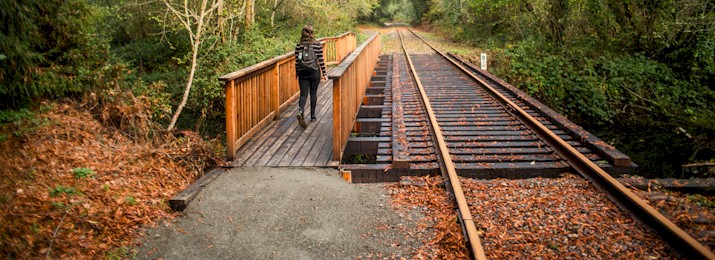 Click here to Save 15% Off The Skunk Train at Fort Bragg