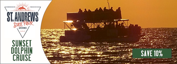 Sunset Dolphin Cruise. Save 10%