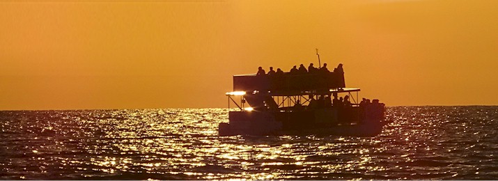 10% Off Sunset Dolphin Cruise in Panama City Beach