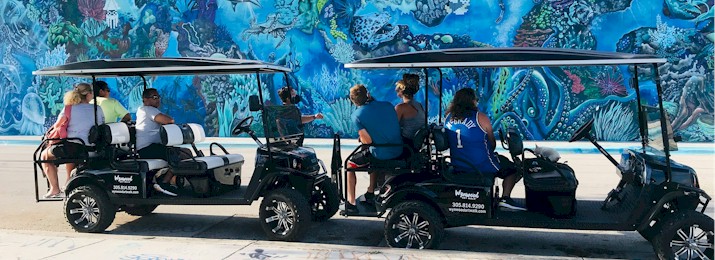 Wynwood Graffiti Golf Cart Buggy Tour. Save 10%