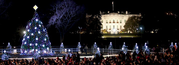 Save 10% Off Washington, DC Holiday Christmas Lights Tour